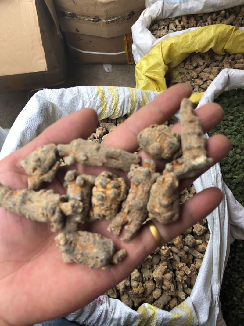 纯三七打粉云南文山三七田七粉大量供应500克免费试吃