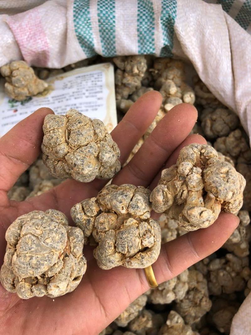 纯三七打粉云南文山三七田七粉大量供应500克免费试吃