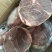【羊后腿】肉内蒙锡林浩特本地羔羊后腿包纯干，纯散养羊，