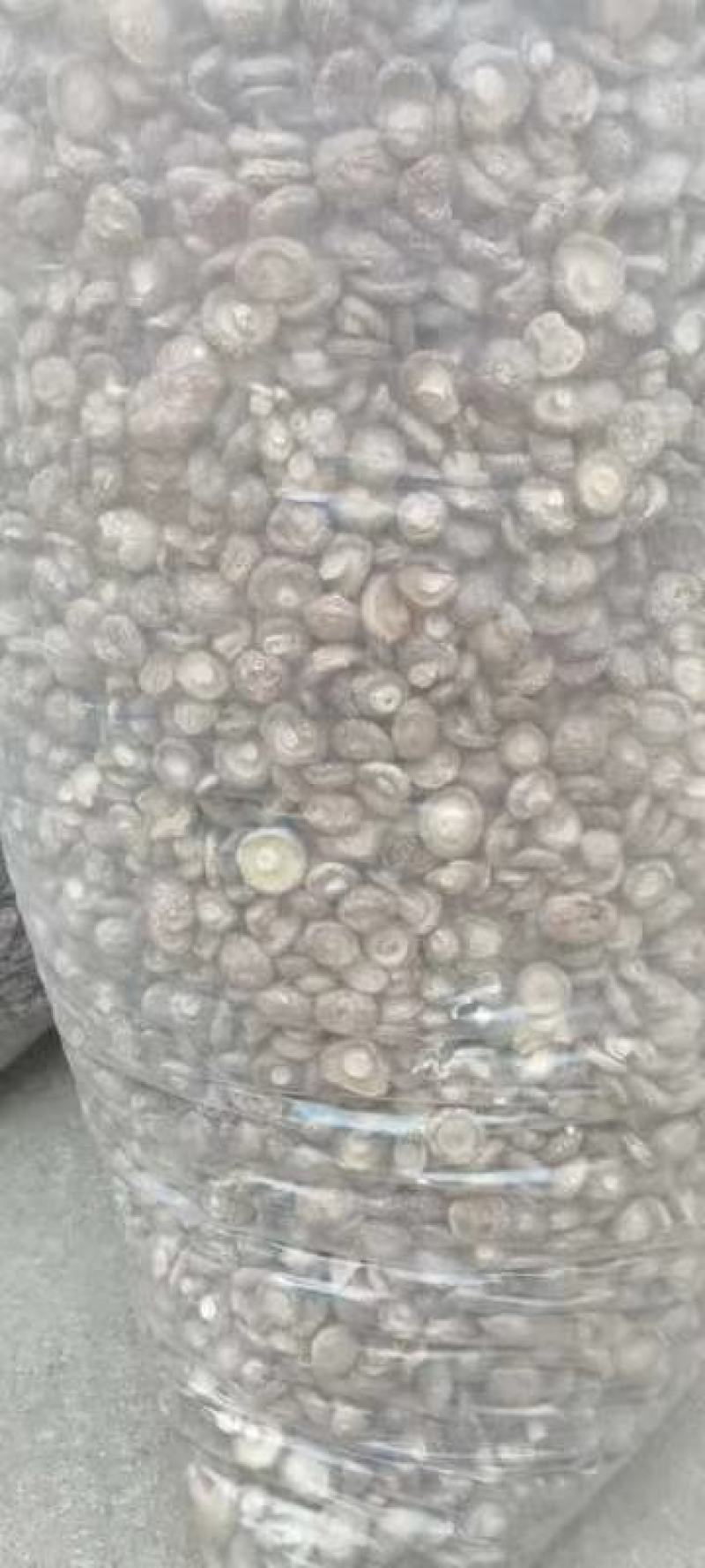 出售干香菇，长期有货