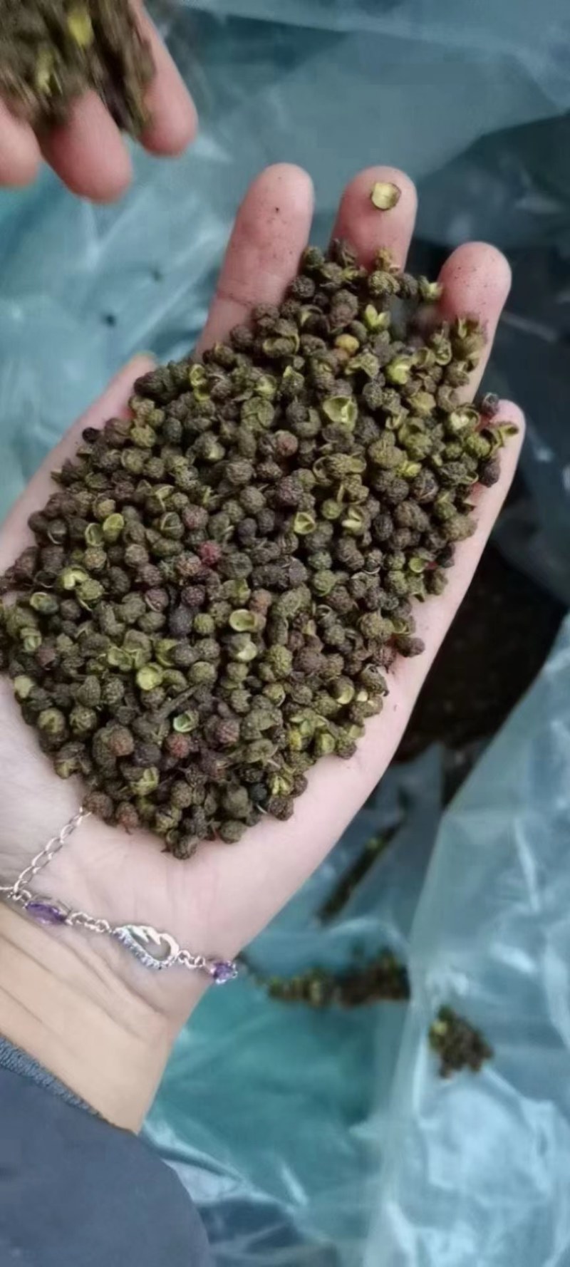 青花椒产地营销价格优惠