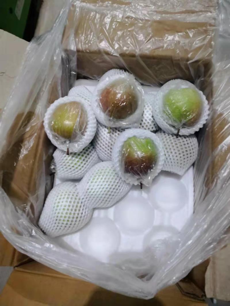 梨，香梨，玉露香梨，酥脆多汁口感脆甜。梨农对接，物美价廉