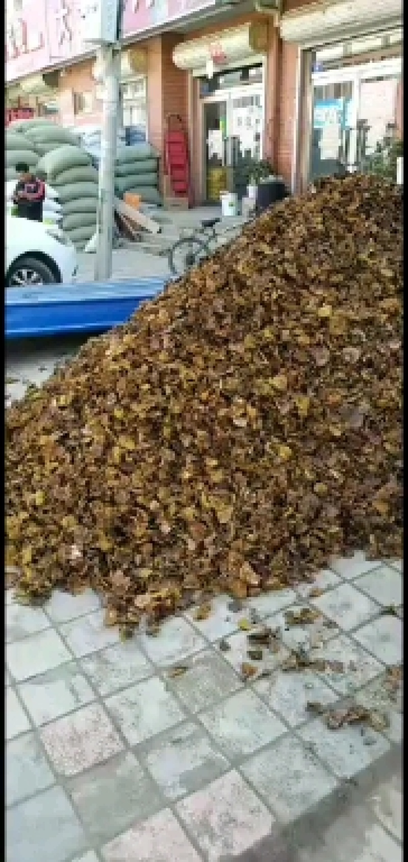 松蘑烤干，质量杠杠的，大，中，小块，都有，要啥规格的都有