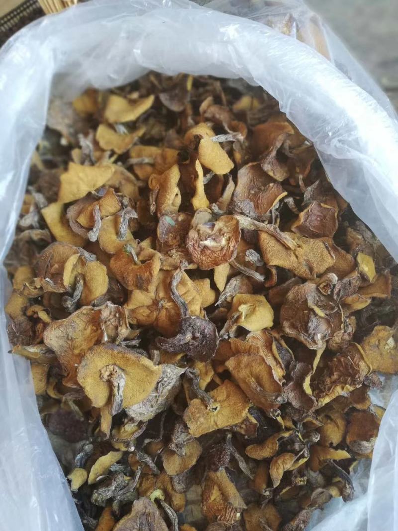 松蘑烤干，质量杠杠的，大，中，小块，都有，要啥规格的都有
