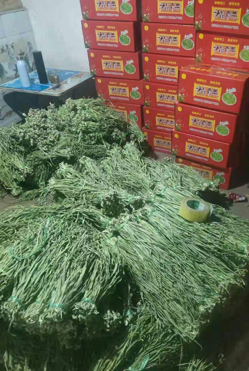 批发【贡菜干】正宗云南特产一箱10斤装鲜嫩脆泡发率高