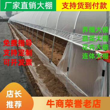 蔬菜大棚种植大棚育苗大棚草莓大棚镀锌钢管支持定制