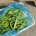 山东莘县精品芸豆扁青芸豆大量上市中质量好价格低廉