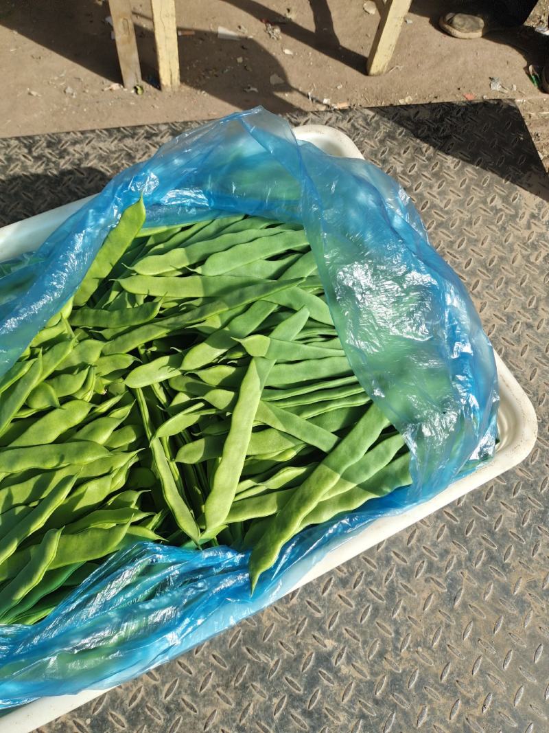 山东莘县精品芸豆扁青芸豆大量上市中质量好价格低廉