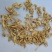 黄芪个棒不规则1000克批发零售品种齐全量大从优