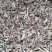 出售各种中药材种苗，种子