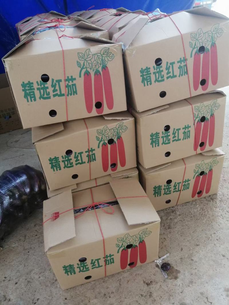 精品茄子，需要的老板可以联系。