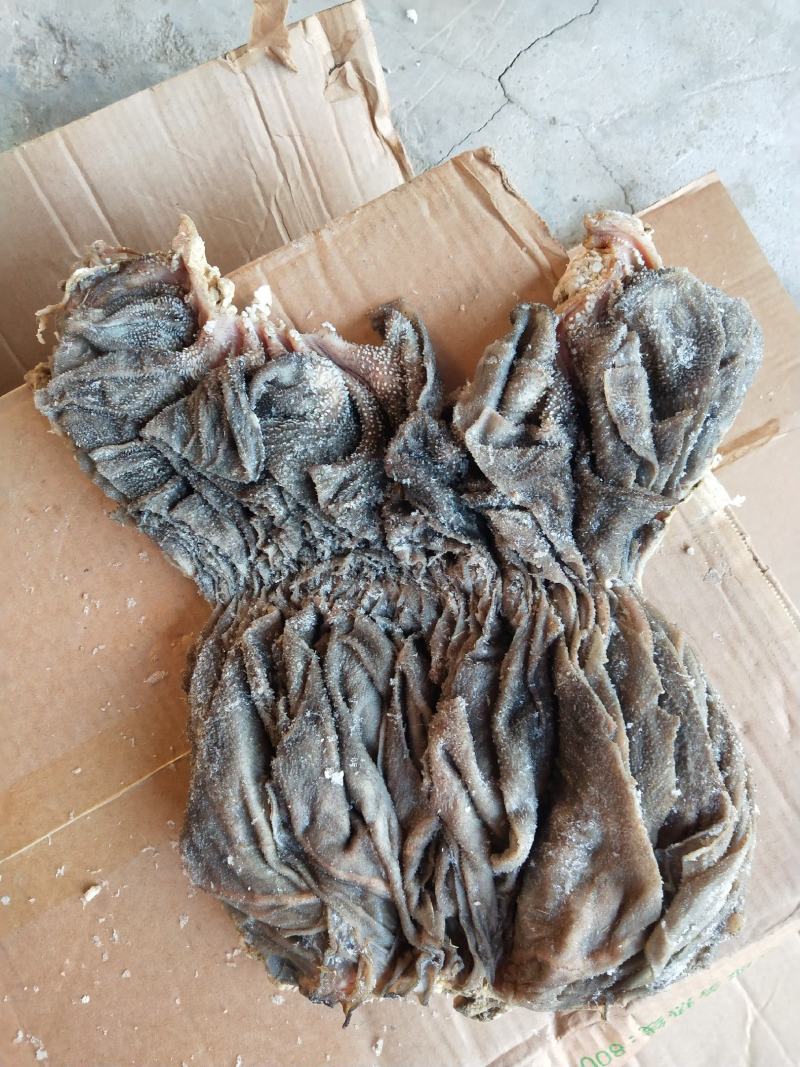 国产牛百叶涮锅凉菜，口感脆脆的，纯干货