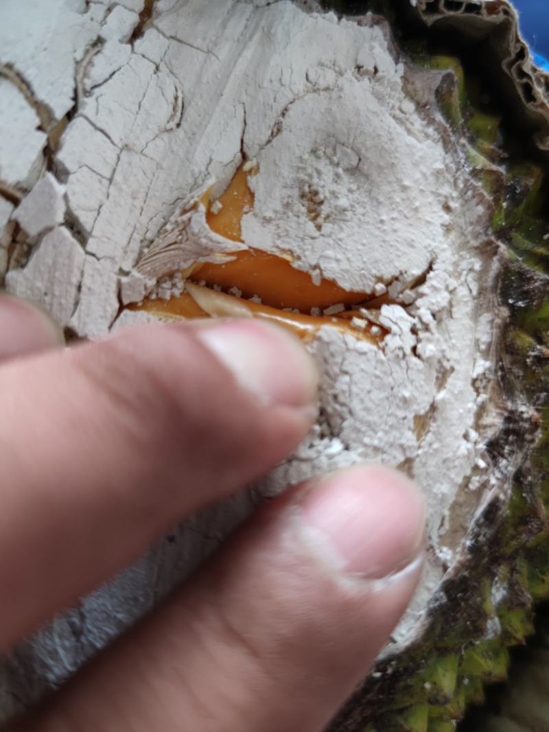 越南产地直发红肉菠萝蜜A果大肉大红肉特大大中小果