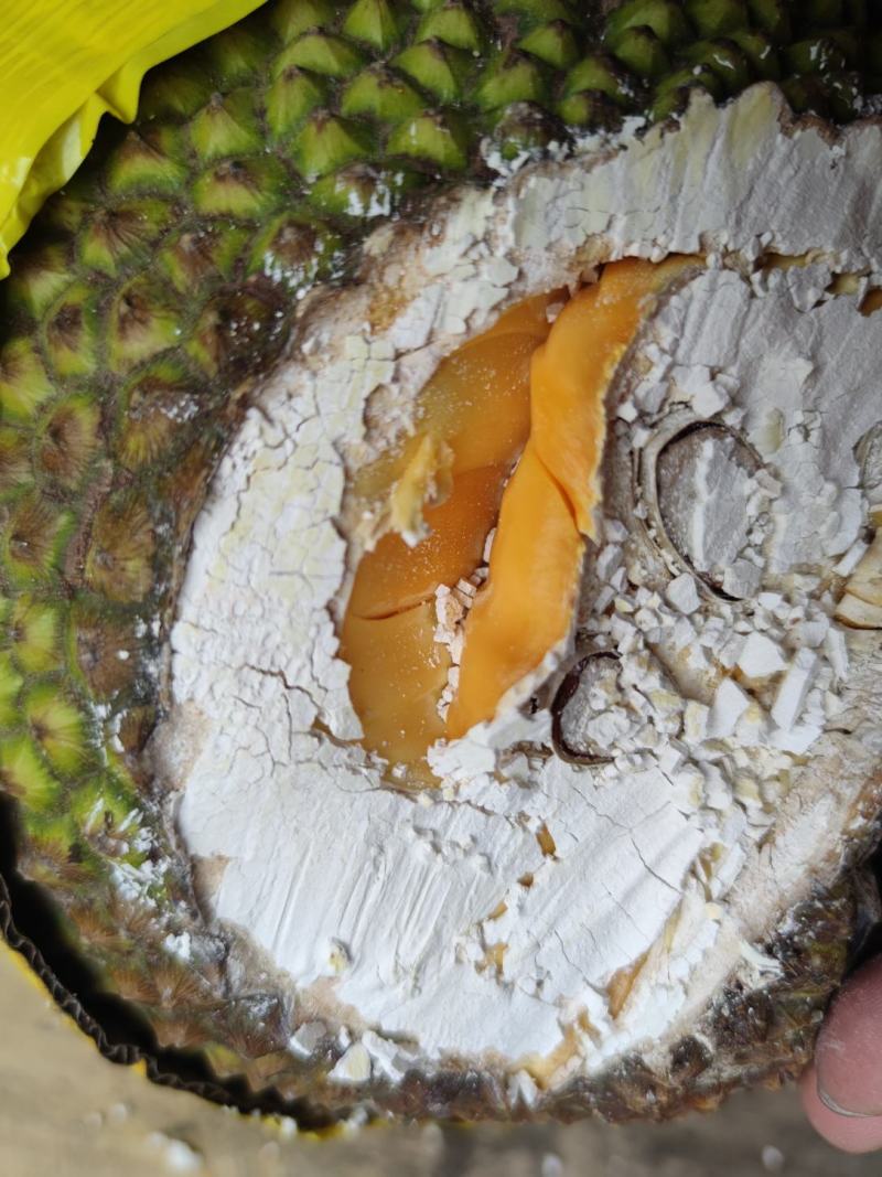 越南产地直发红肉菠萝蜜A果大肉大红肉特大大中小果