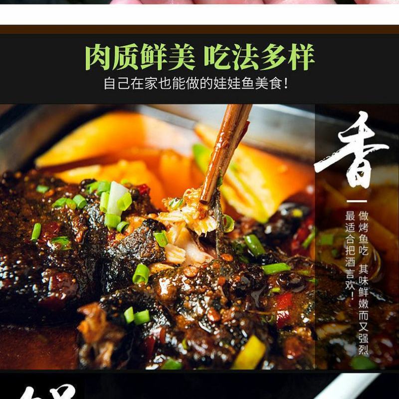 好货推荐生态大娃娃鱼活鱼食用佳品月子餐汤营养丰富