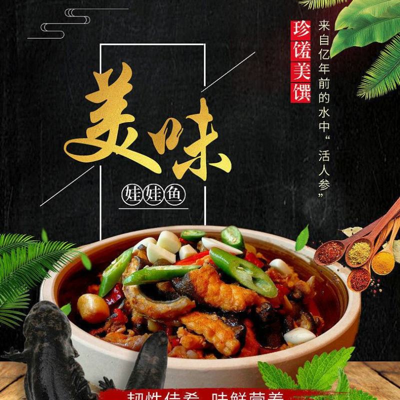 好货推荐生态大娃娃鱼活鱼食用佳品月子餐汤营养丰富