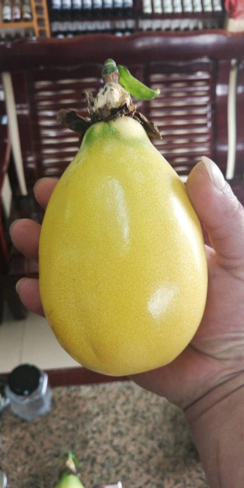 哈密味南方种植水果香蜜百香果嫁接苗百香果苗果树苗