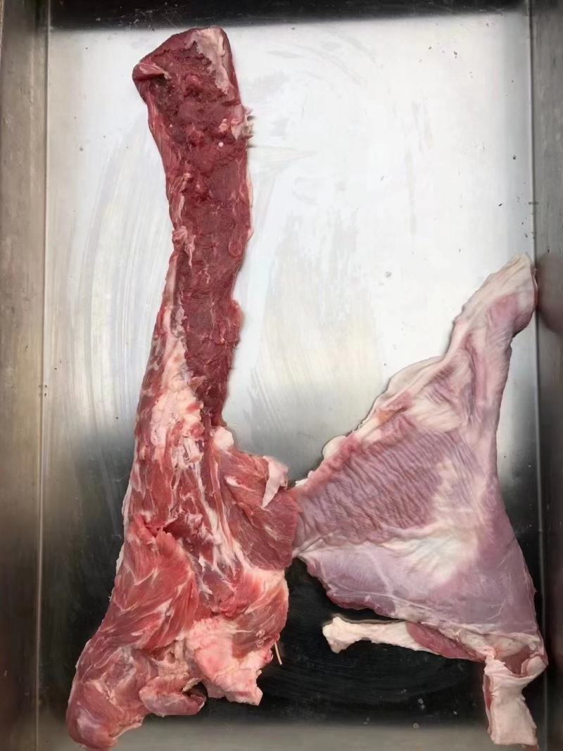 羊脖肉，本店新到羔羊脖肉，烧烤小炒，穿串等适合各种用途