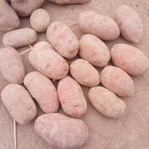 青薯9号土豆4两以上精品，货量充足，品质优良。