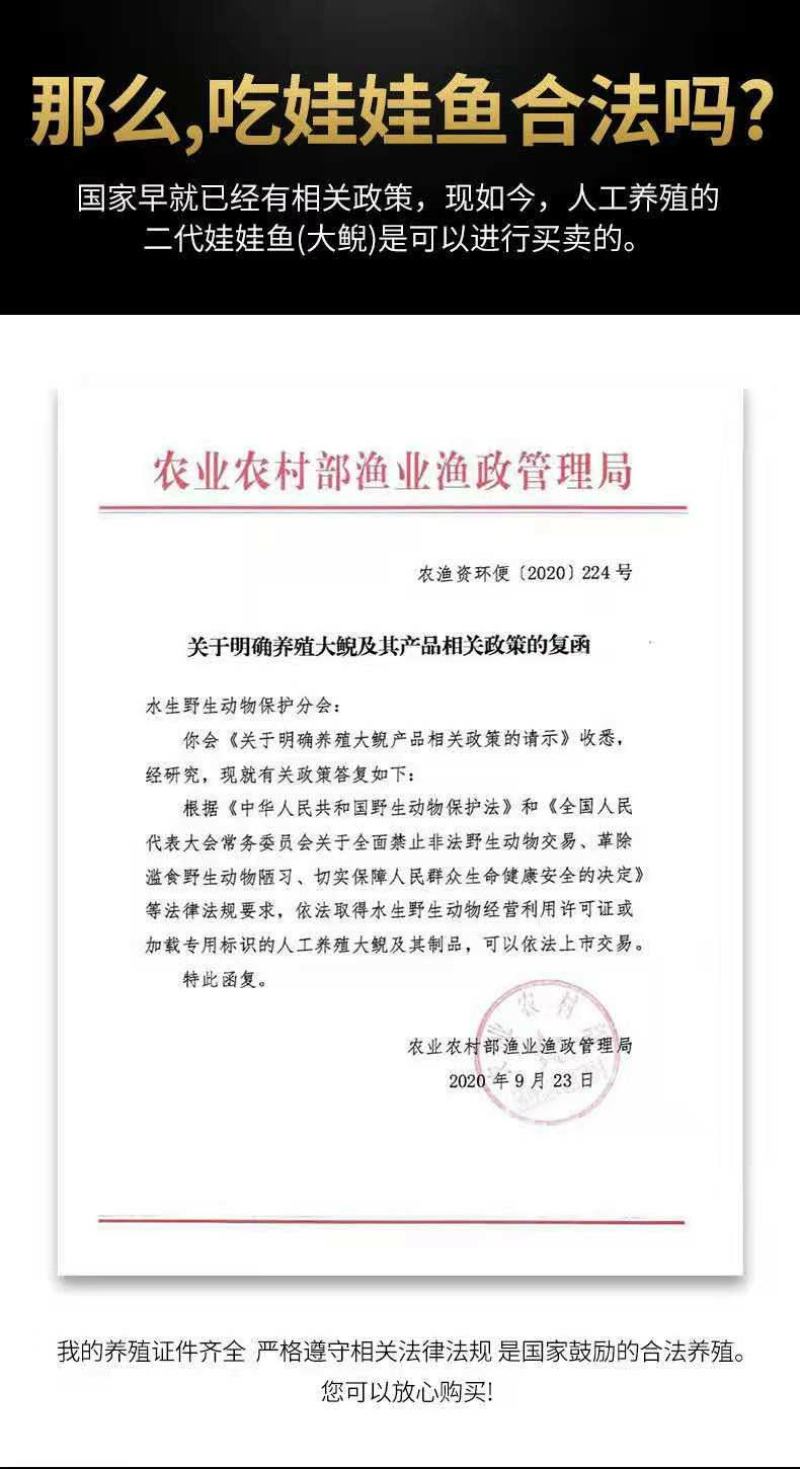 好货推荐生态大娃娃鱼活鱼食用佳品月子餐汤营养丰富
