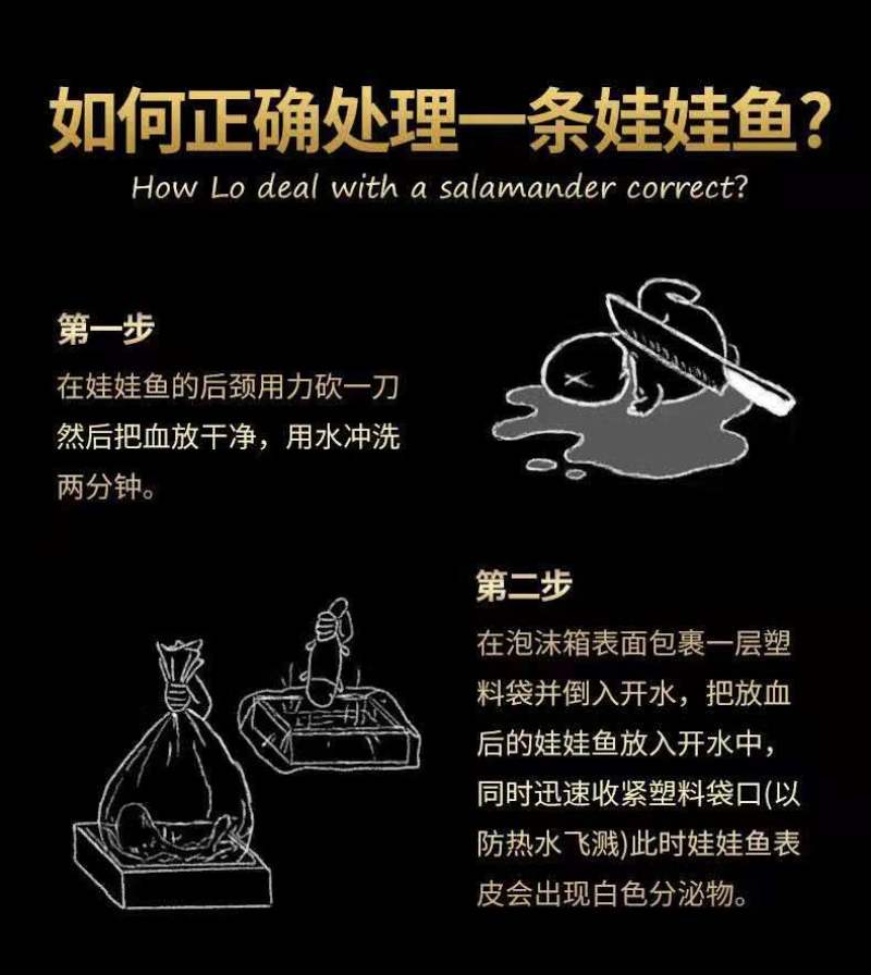 好货推荐生态大娃娃鱼活鱼食用佳品月子餐汤营养丰富