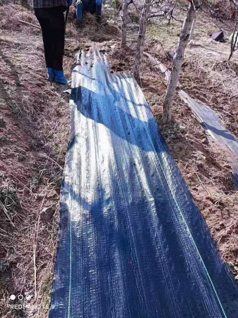 地钉防草布厂家，15厘米地钉园艺地布，地钉除草布