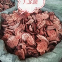 九龙藤中药材批发龙须藤梅花入骨丹穿心菊五花血藤