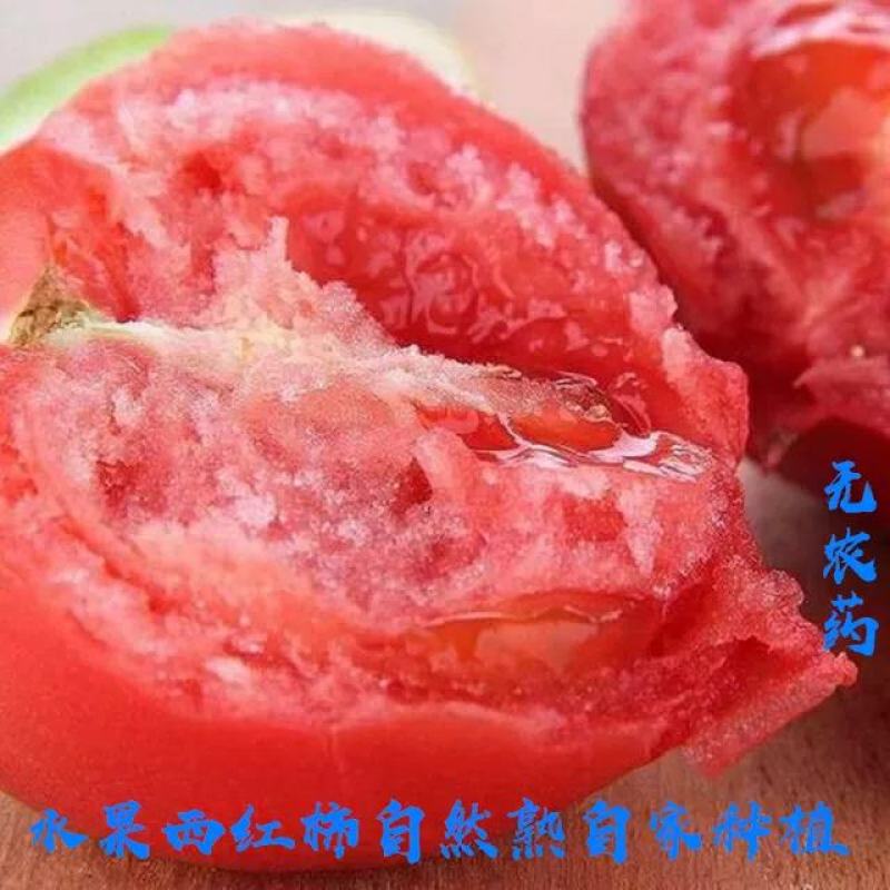 水果西红柿薄皮沙瓤酸甜可口儿时的味道天津