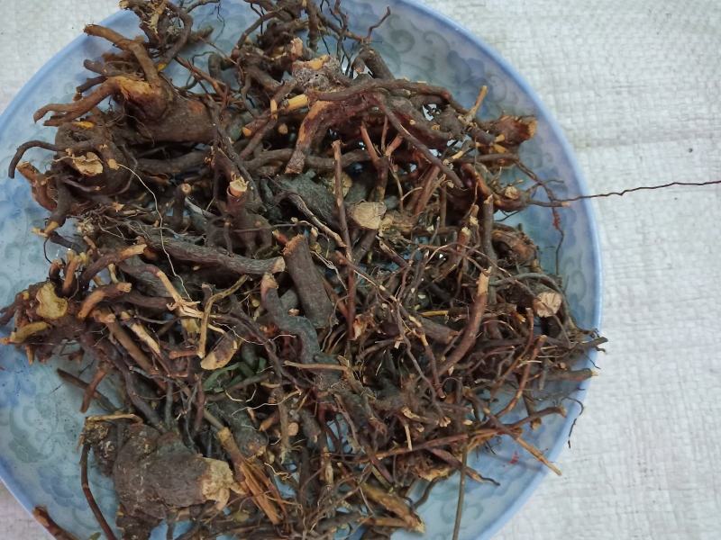 三月泡根刺波茅梅根茅莓根红梅消根蛇泡筋