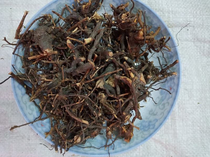 三月泡根刺波茅梅根茅莓根红梅消根蛇泡筋