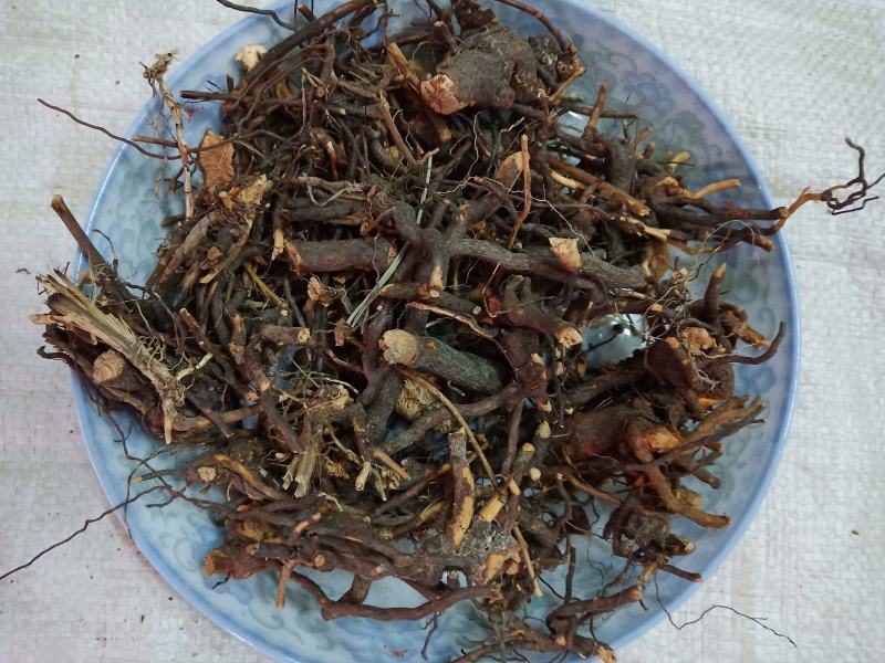 三月泡根刺波茅梅根茅莓根红梅消根蛇泡筋