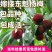 杨梅树苗，杨梅苗，嫁接苗南方种植，地栽东魁，水灵