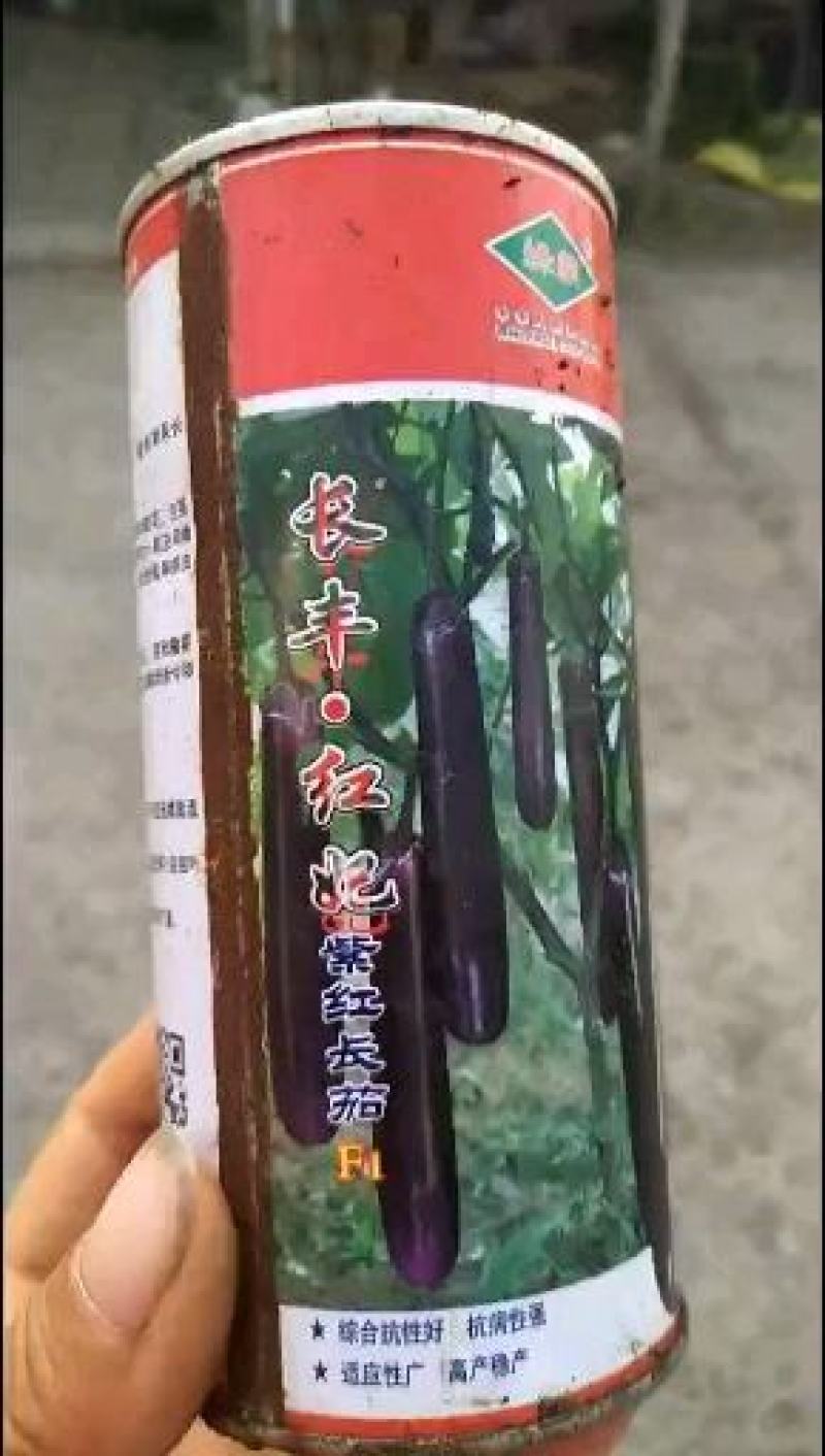 茄子苗〈绿美，罐茄，棒茄，圆茄，青茄，红妃）品种齐全