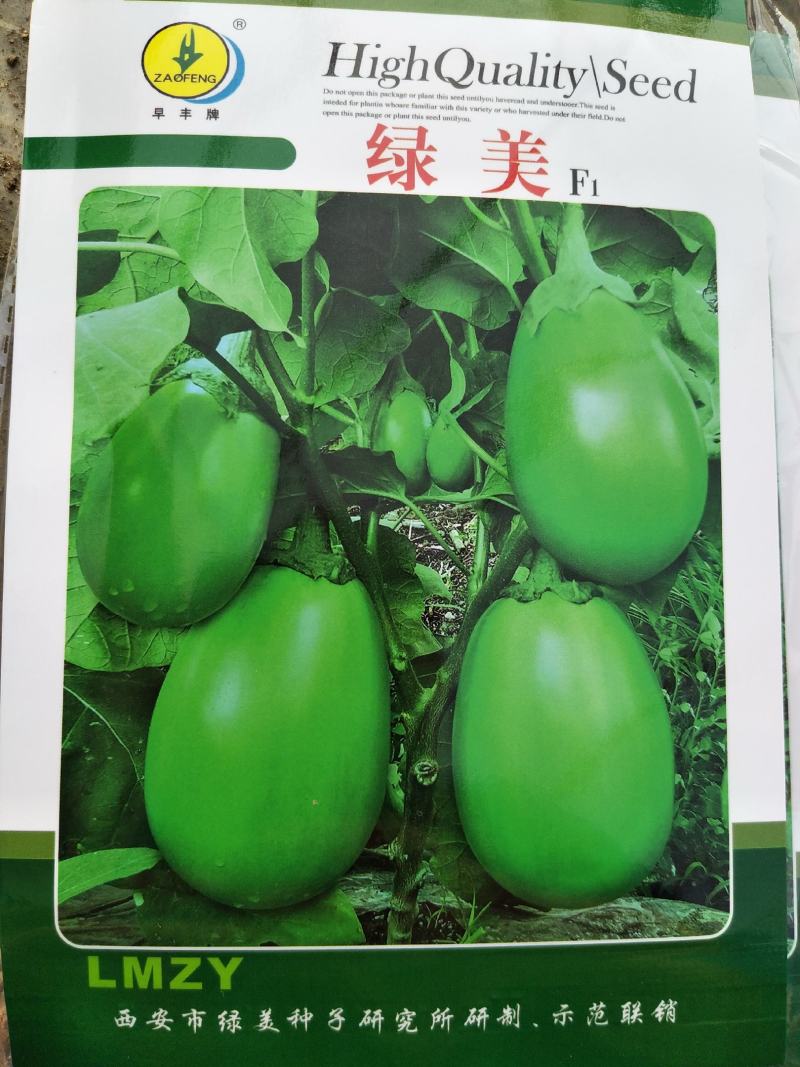 茄子苗〈绿美，罐茄，棒茄，圆茄，青茄，红妃）品种齐全