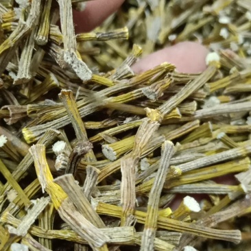 中药材铁皮石斛质量很好，货多，产地直销欢迎选购