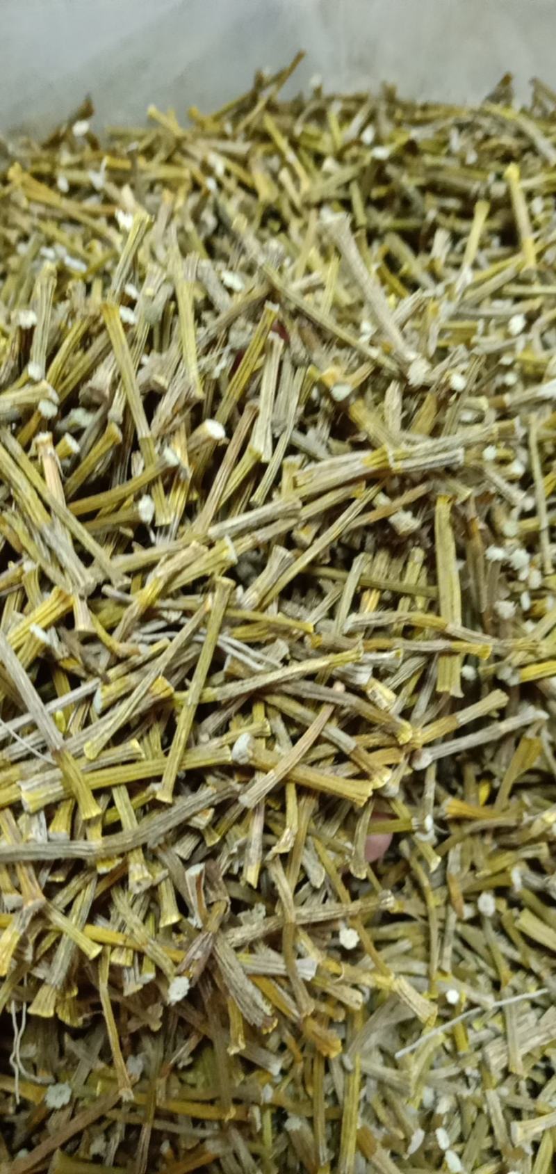 中药材铁皮石斛质量很好，货多，产地直销欢迎选购
