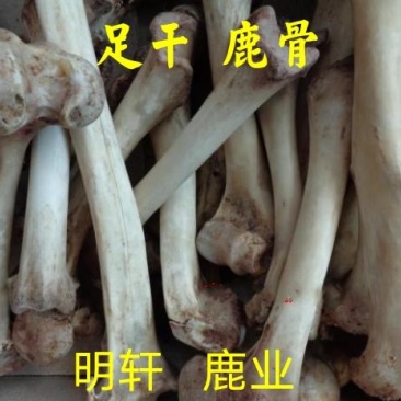 《明轩鹿业》鹿骨足干纯正梅花鹿干鹿骨无霉无虫