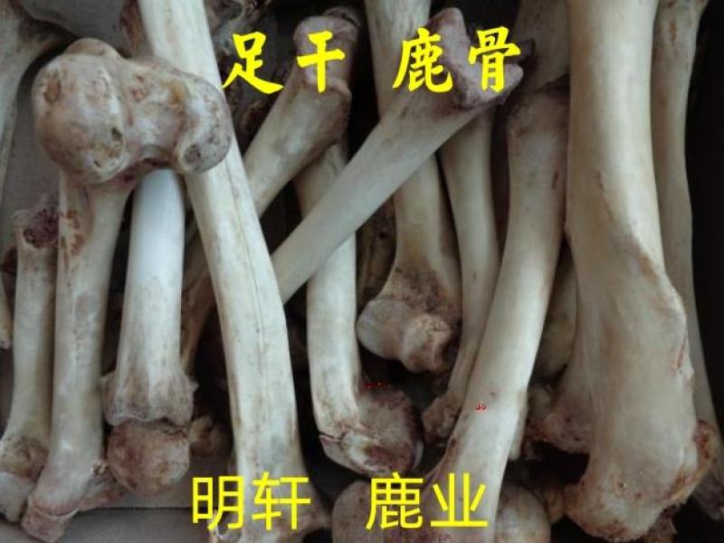 《明轩鹿业》鹿骨足干纯正梅花鹿干鹿骨无霉无虫
