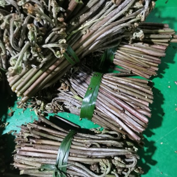 贵州高山优质蕨菜，田蕨，苦蕨，批发