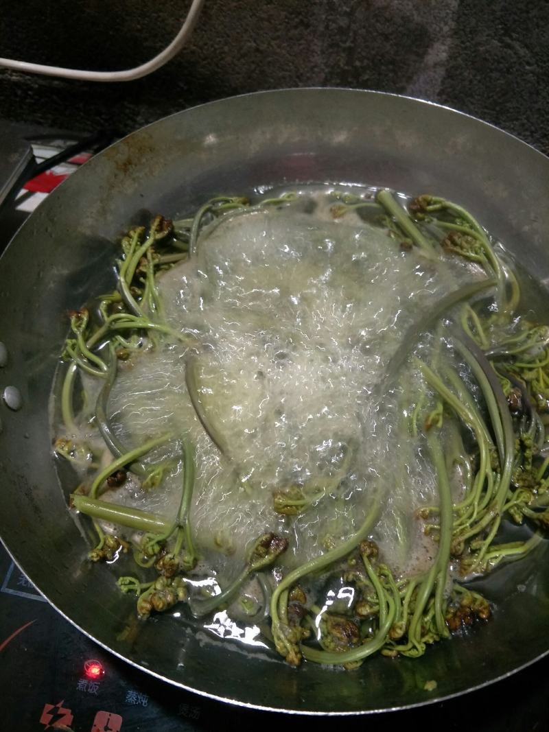 山上野生的蕨苔原生态蕨菜