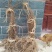 翠玉猕猴桃嫁接苗果形椭圆亩收益20000以上