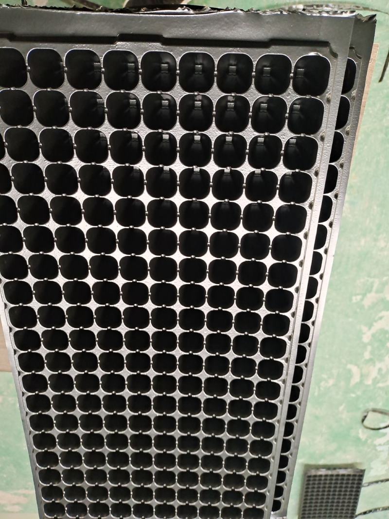 200穴辣椒育苗穴盘厂家直销