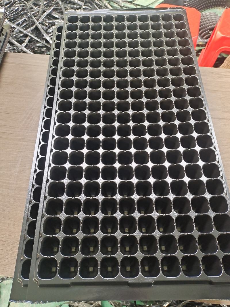 200穴辣椒育苗穴盘厂家直销