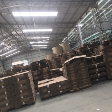 包装材料设计纸箱制定