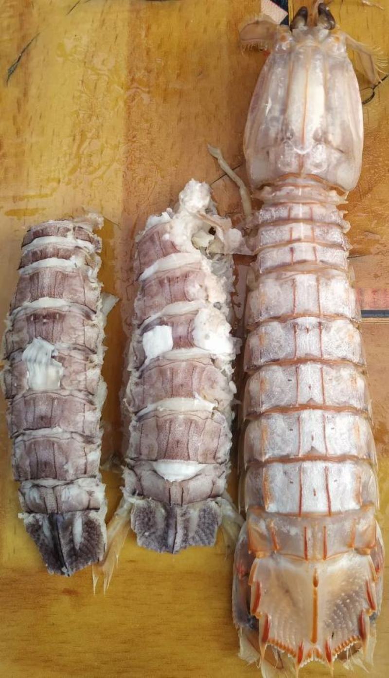 当季渔船回来的皮皮虾，熟冻皮皮虾