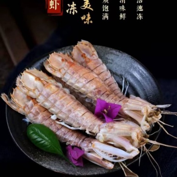 当季渔船回来的皮皮虾，熟冻皮皮虾