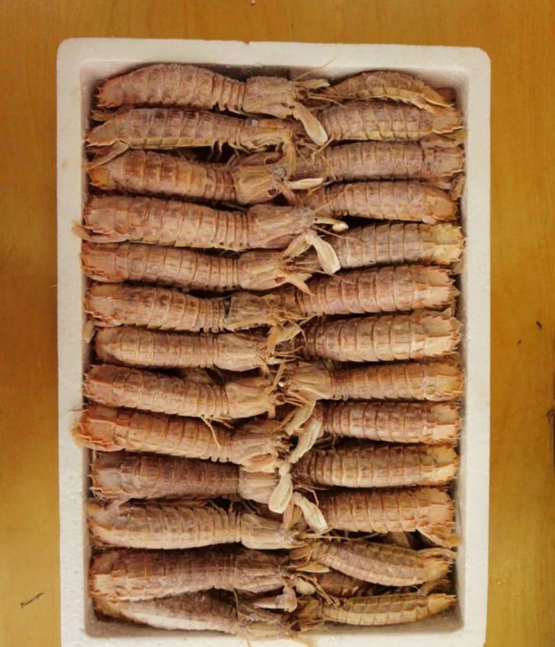 当季渔船回来的皮皮虾，熟冻皮皮虾