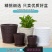 树脂花盆仿竹编款花卉绿植树脂花盆塑料花盆加厚加固多肉花盆