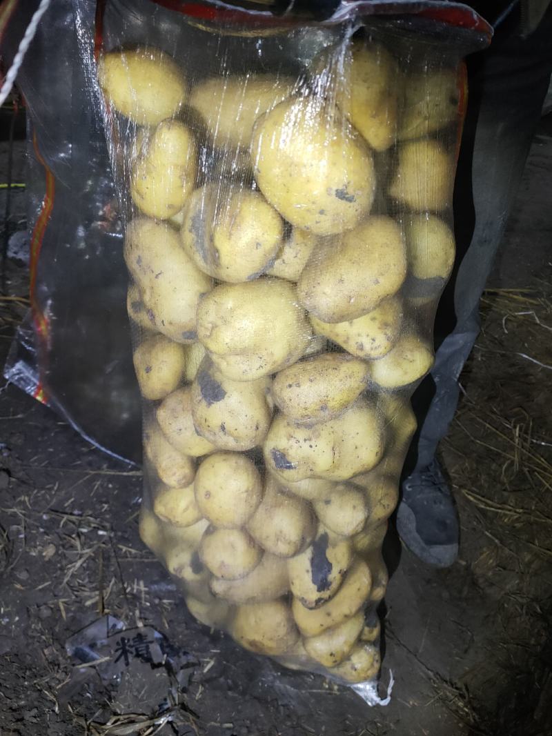 黄心土豆，反包干洗，有想法的随时下单，等