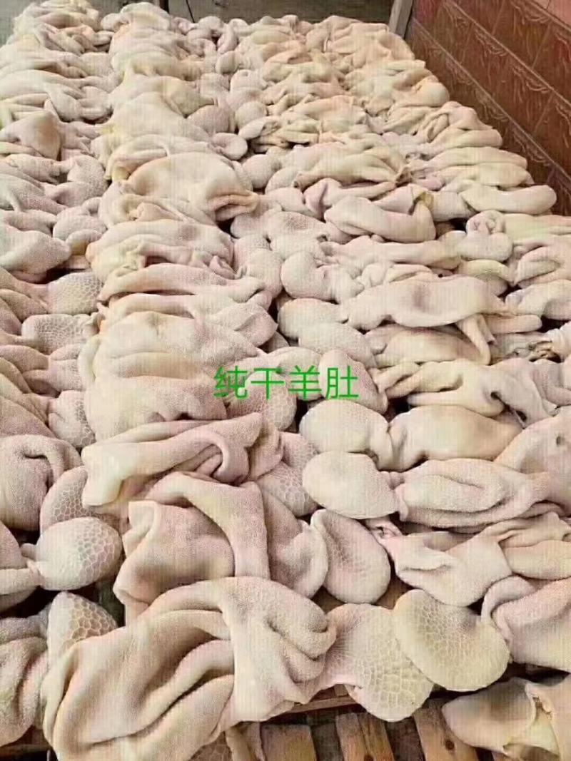 熟羊肚，现货实拍，价格低，一手货源，询价有惊喜，量大从优
